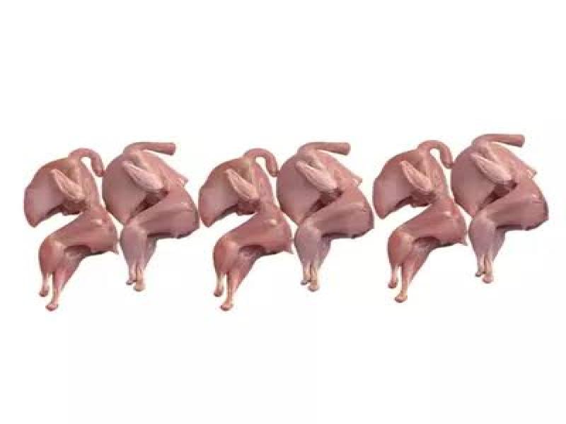 Grocery Ecommerce Template