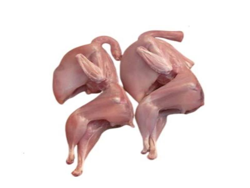 Grocery Ecommerce Template