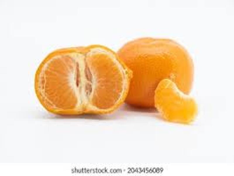 Grocery Ecommerce Template