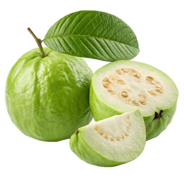 Guava