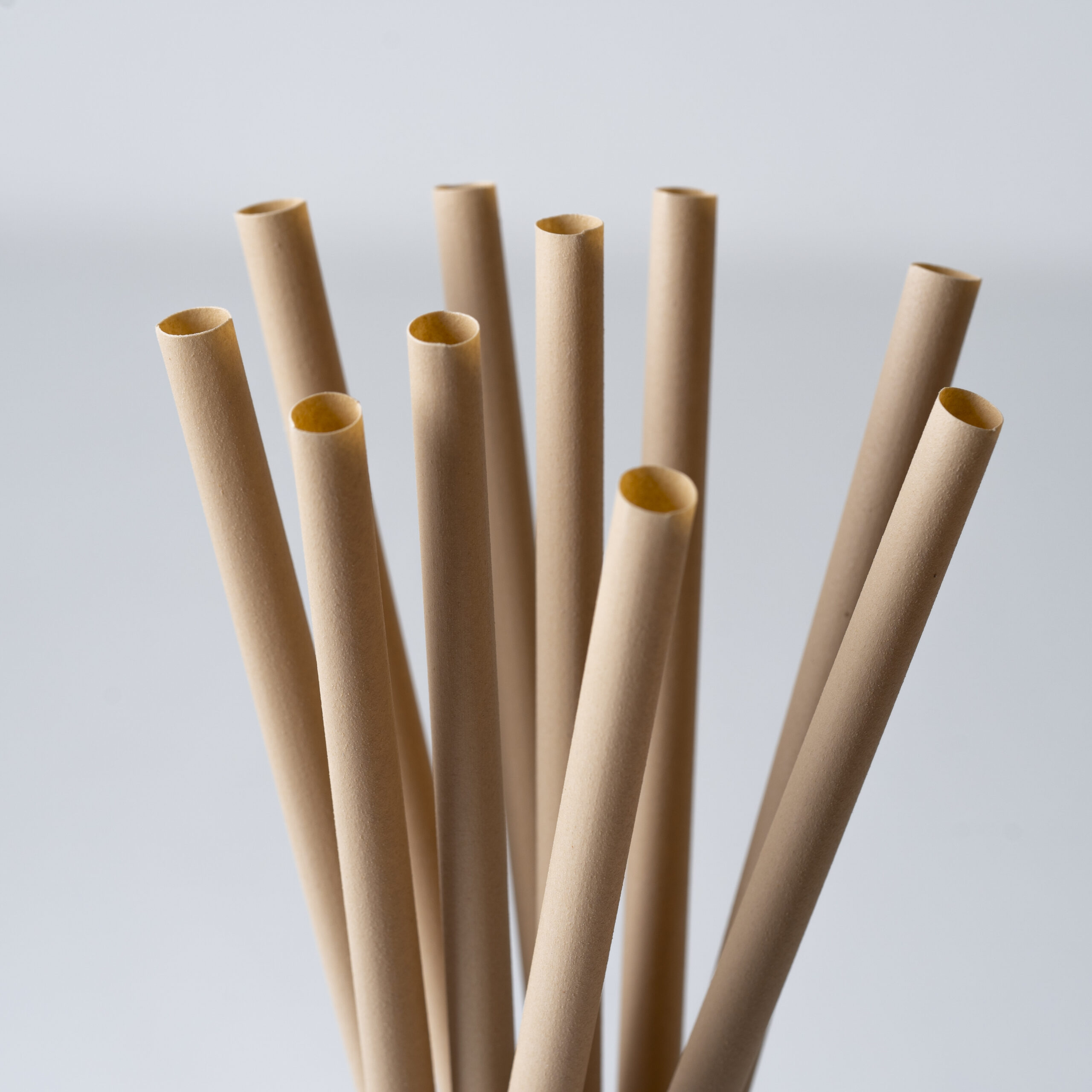 Bamboo Straw